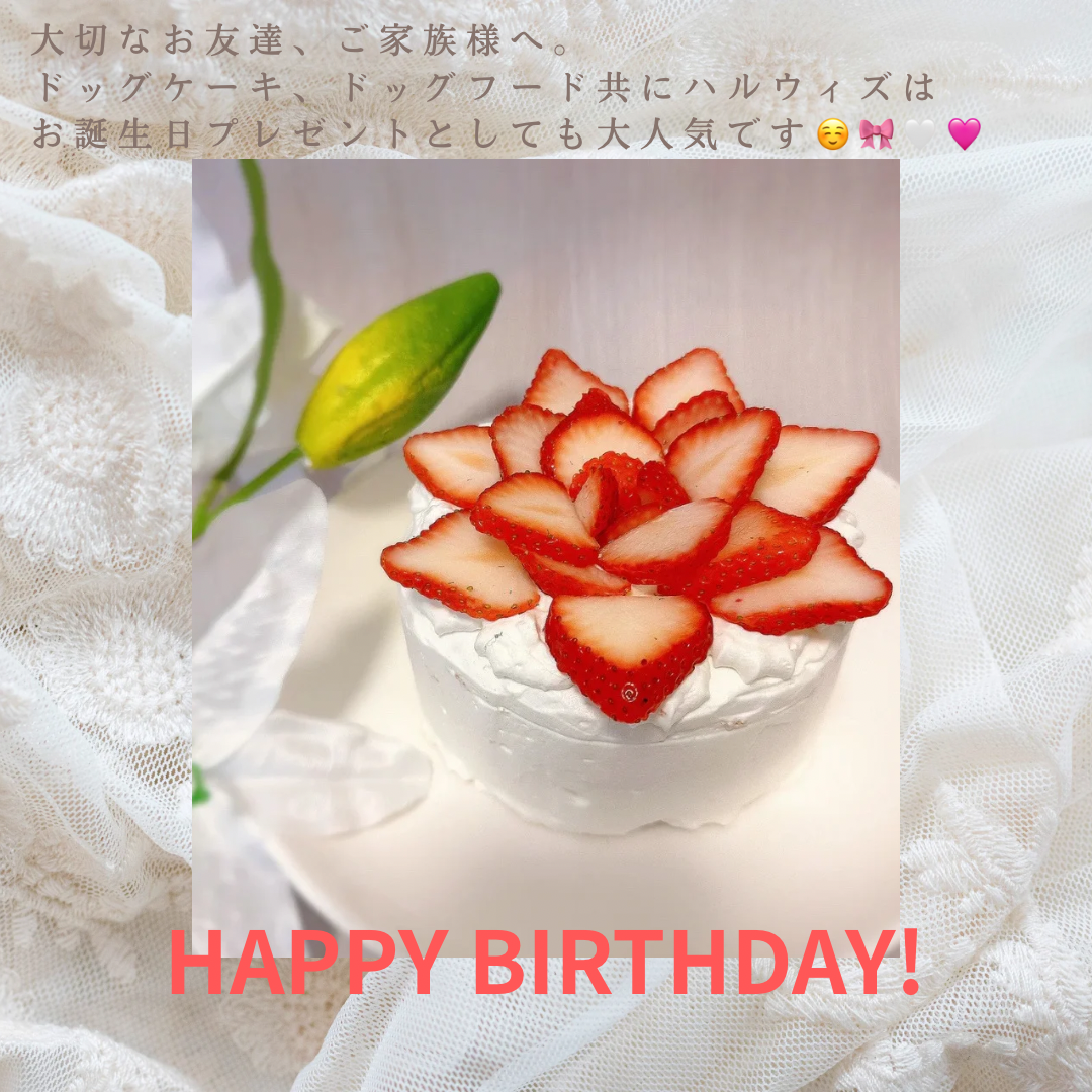 HARUWITH dog cake