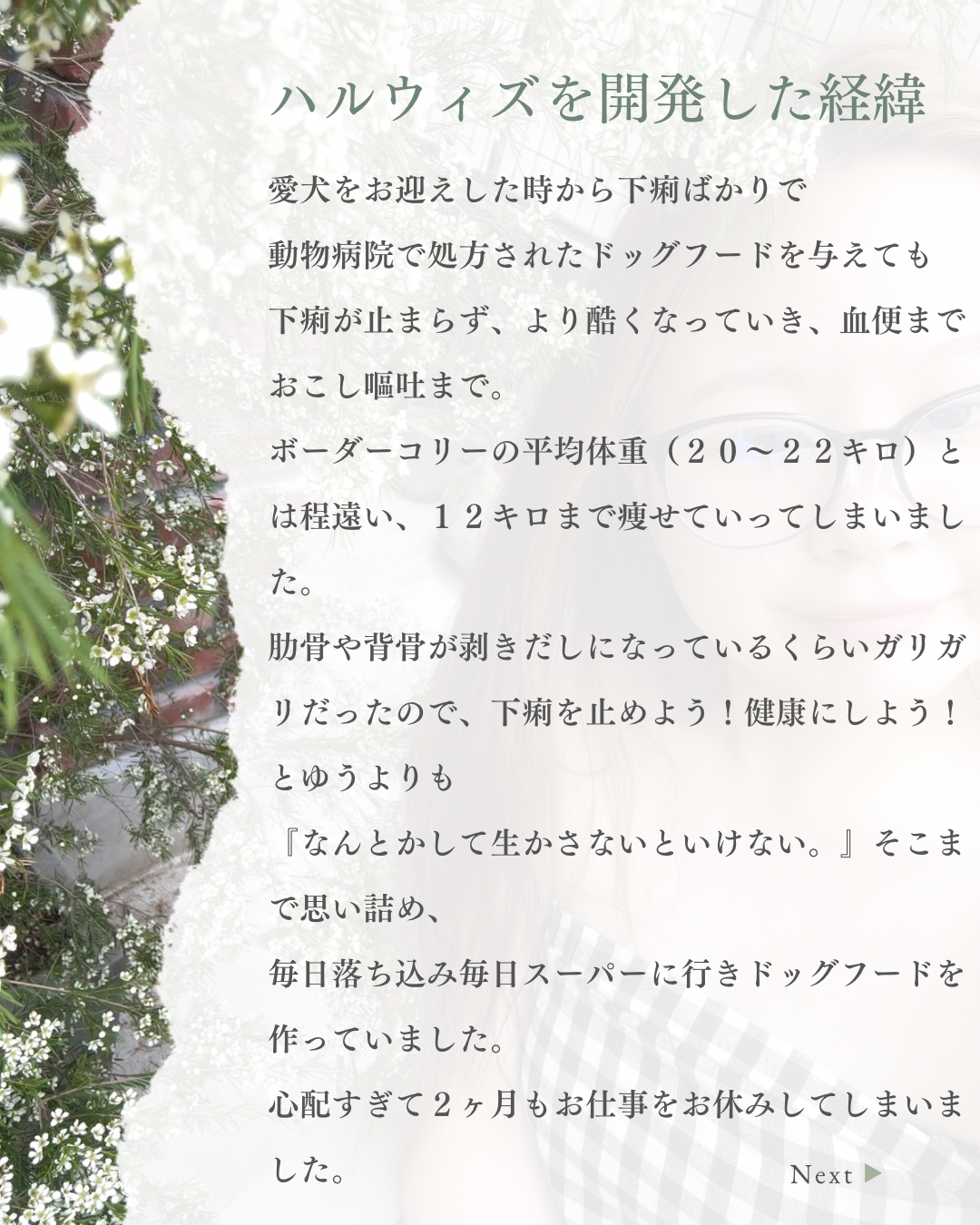 HARUWITH for adult dog