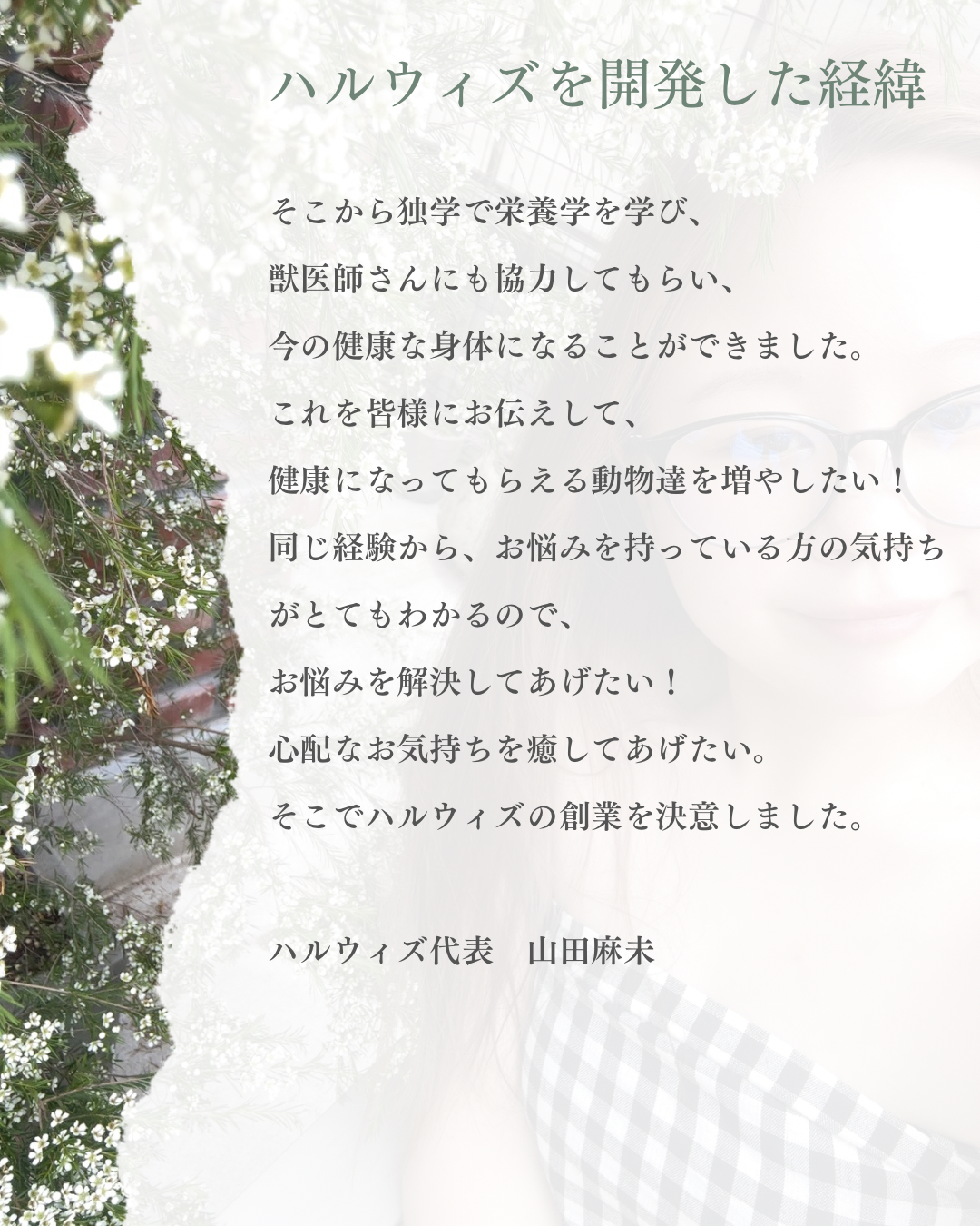 HARUWITH for adult dog