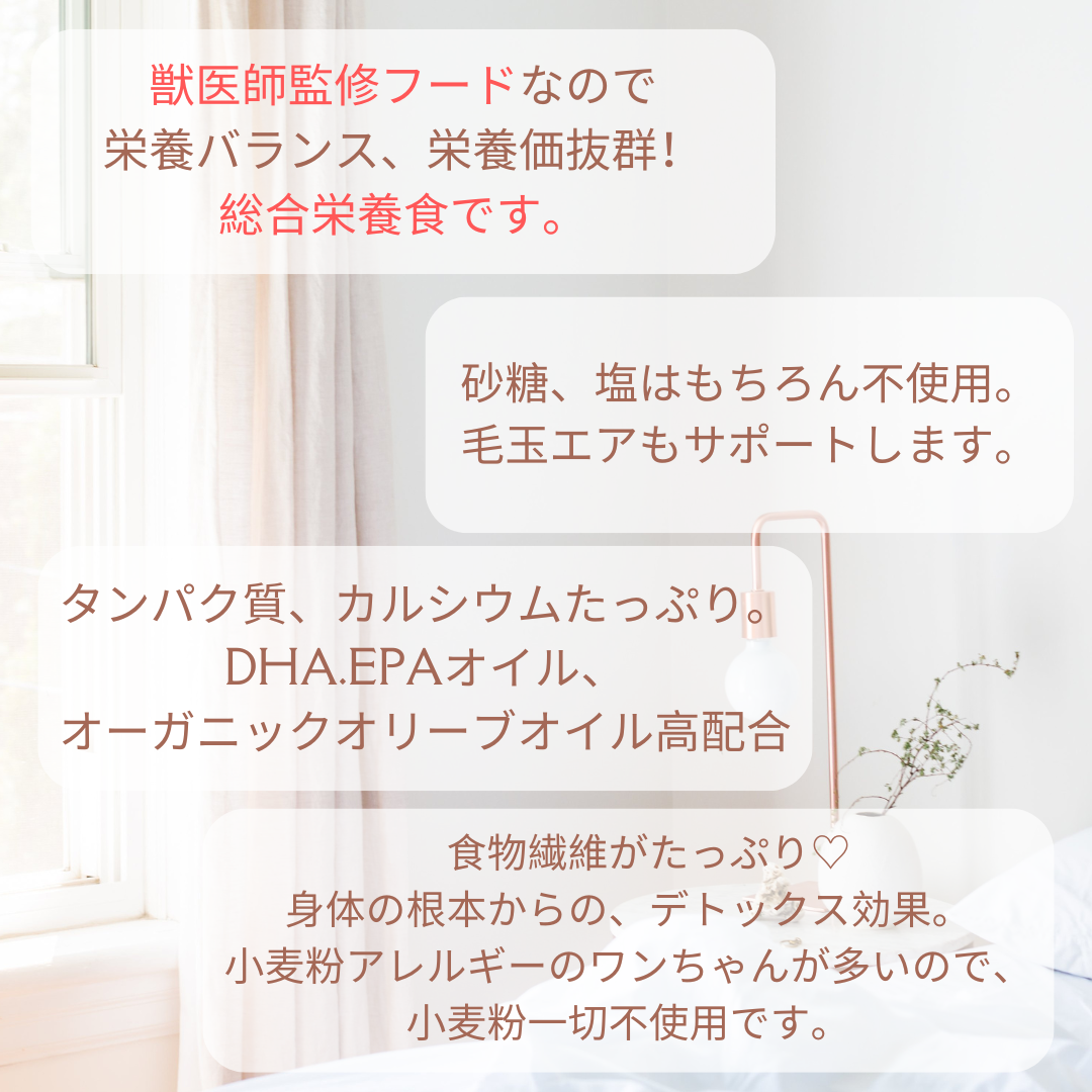 HARUWITH for adult dog