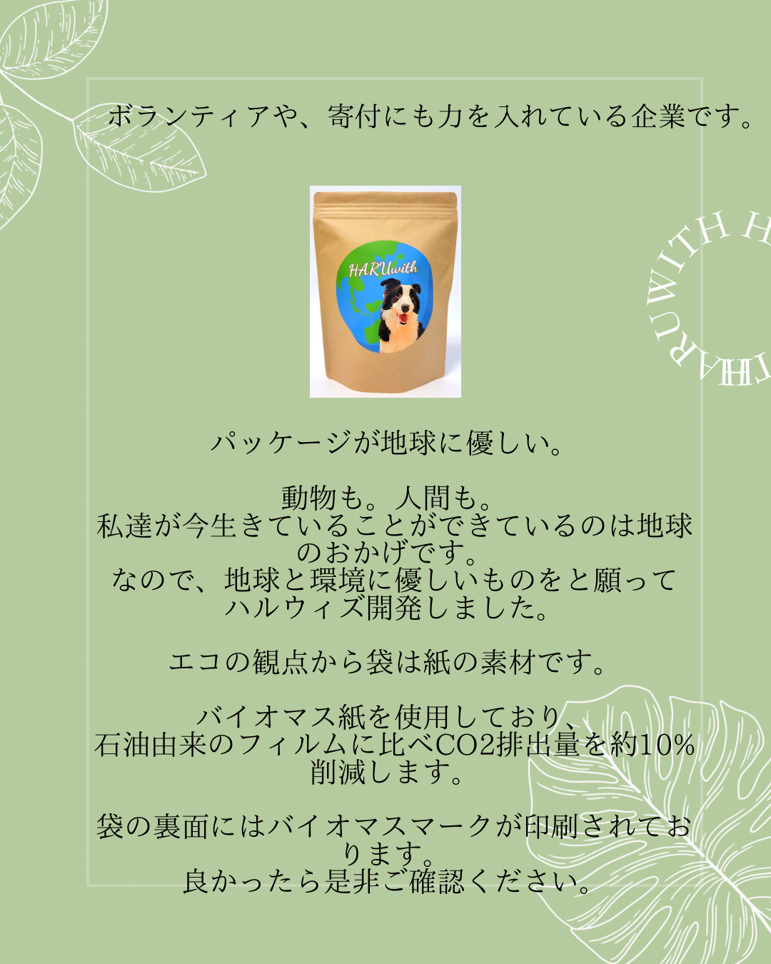 HARUWITH for adult dog