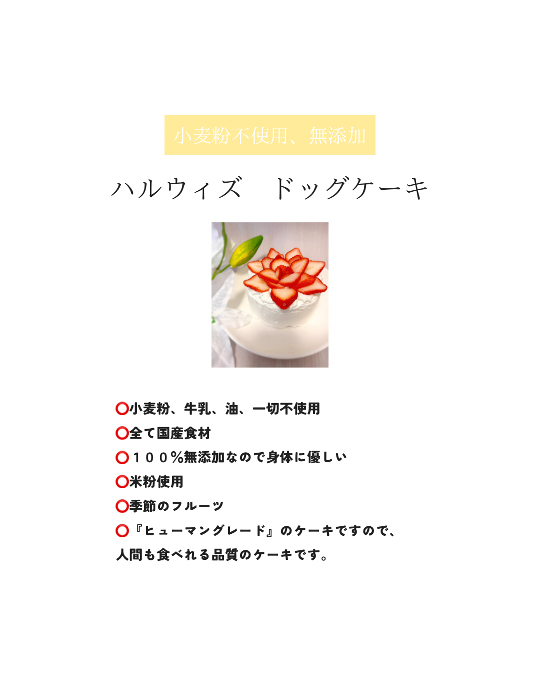 HARUWITH dog cake