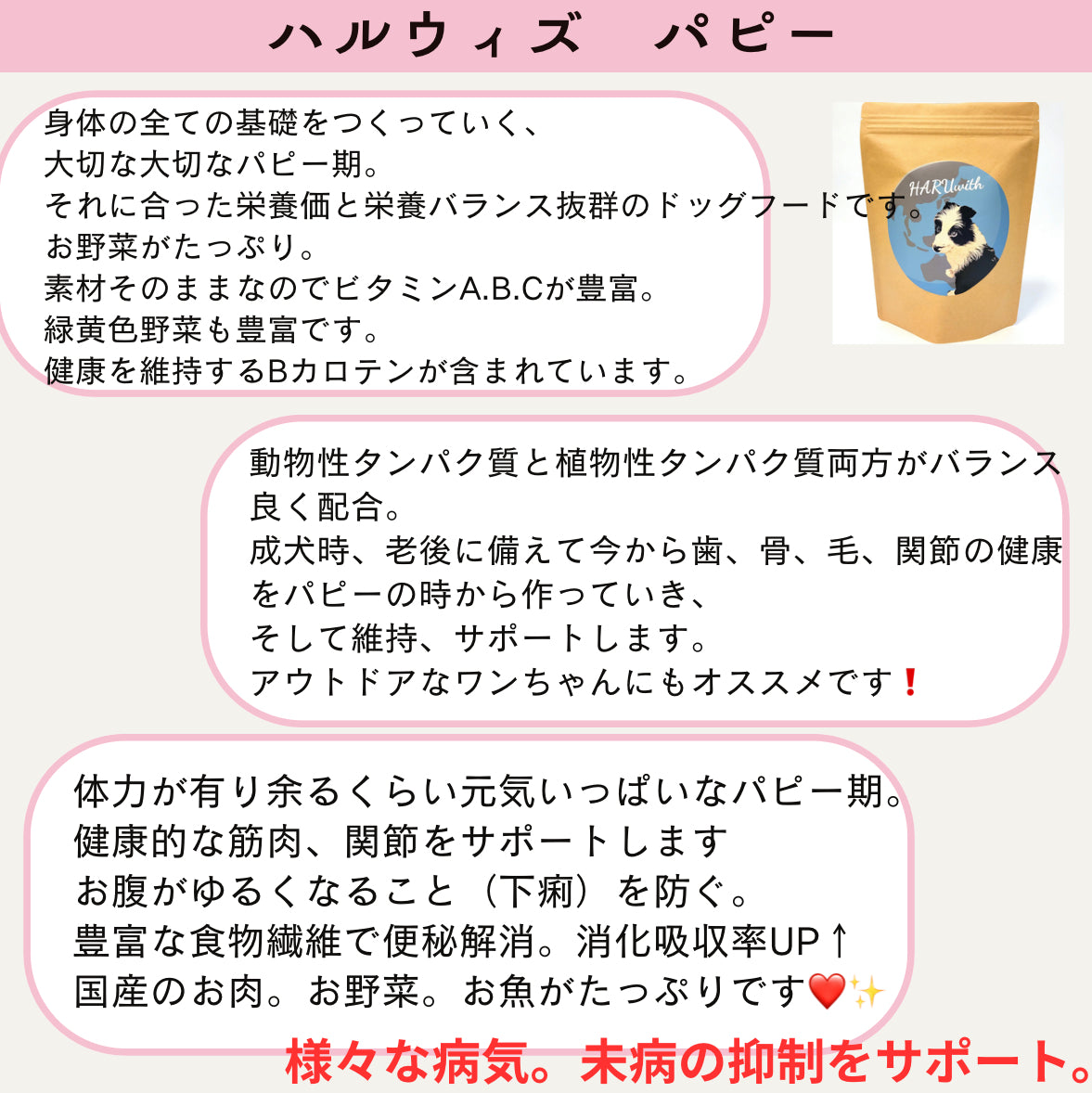 HARUWITH Puppy