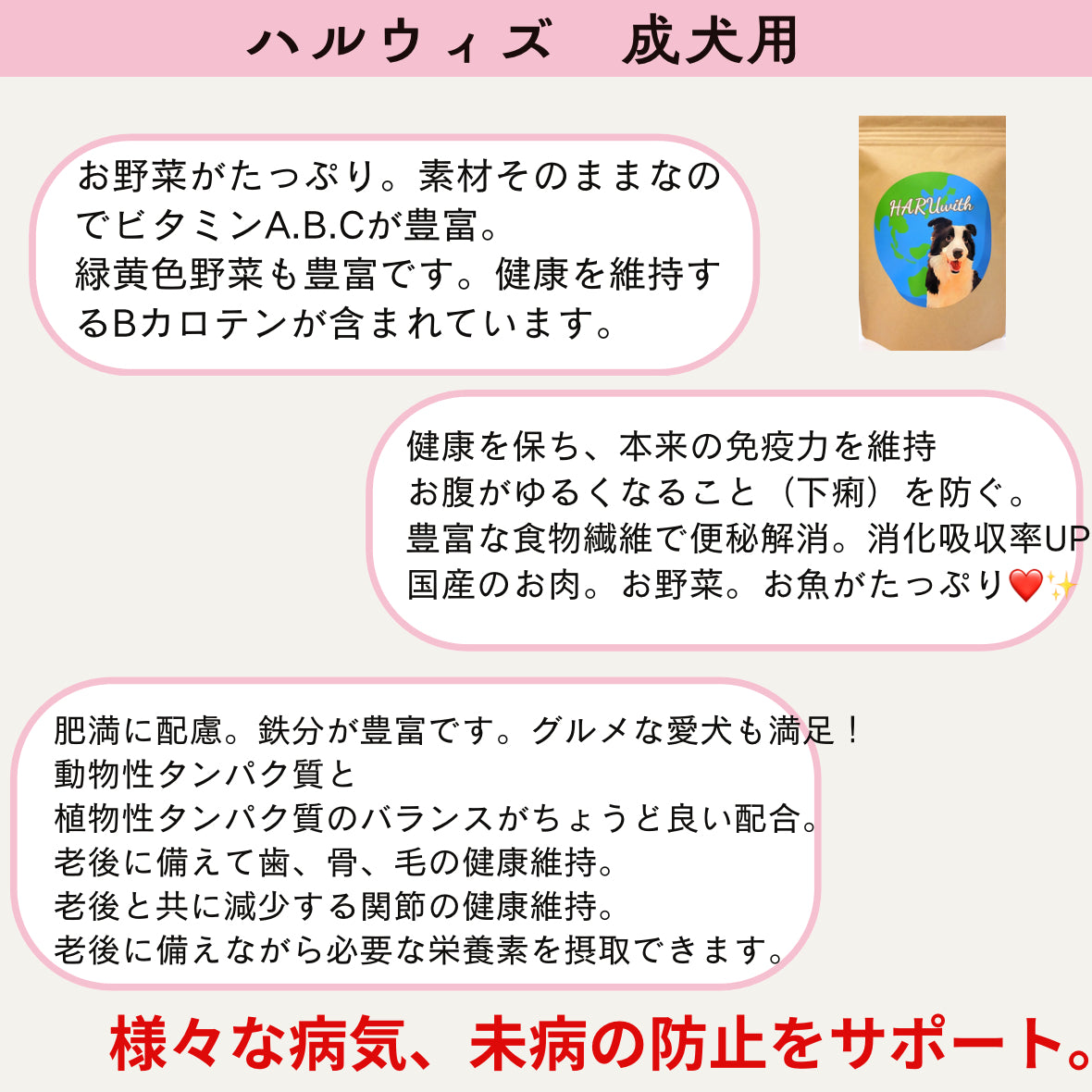 HARUWITH for adult dog
