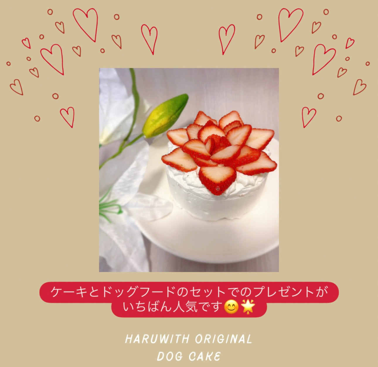 HARUWITH dog cake