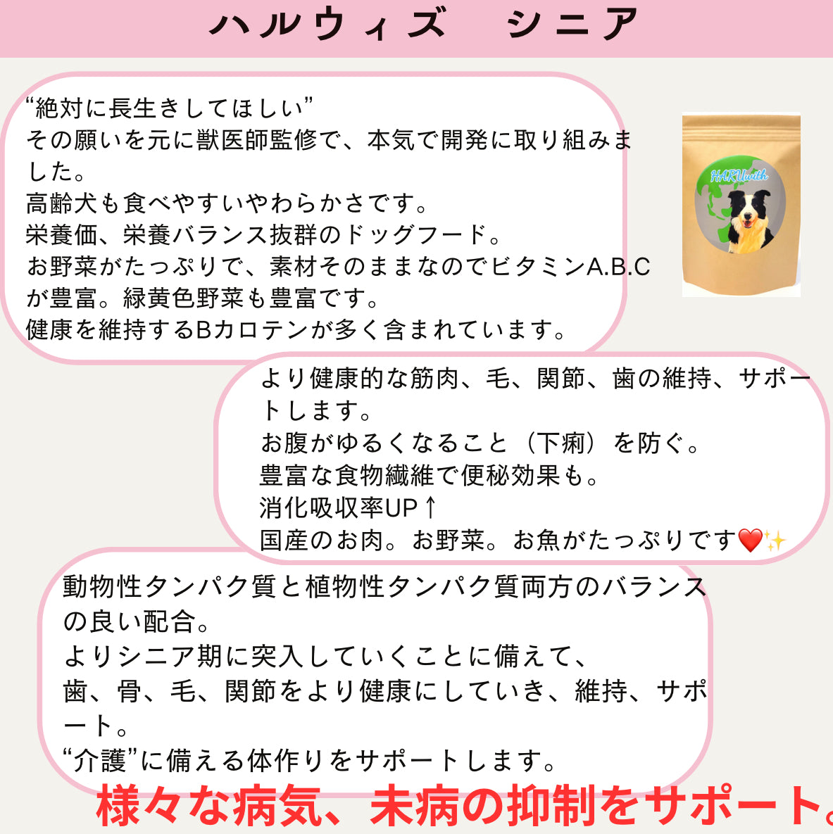 HARUWITH Senior