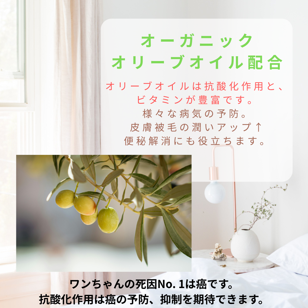 HARUWITH　for adult dog