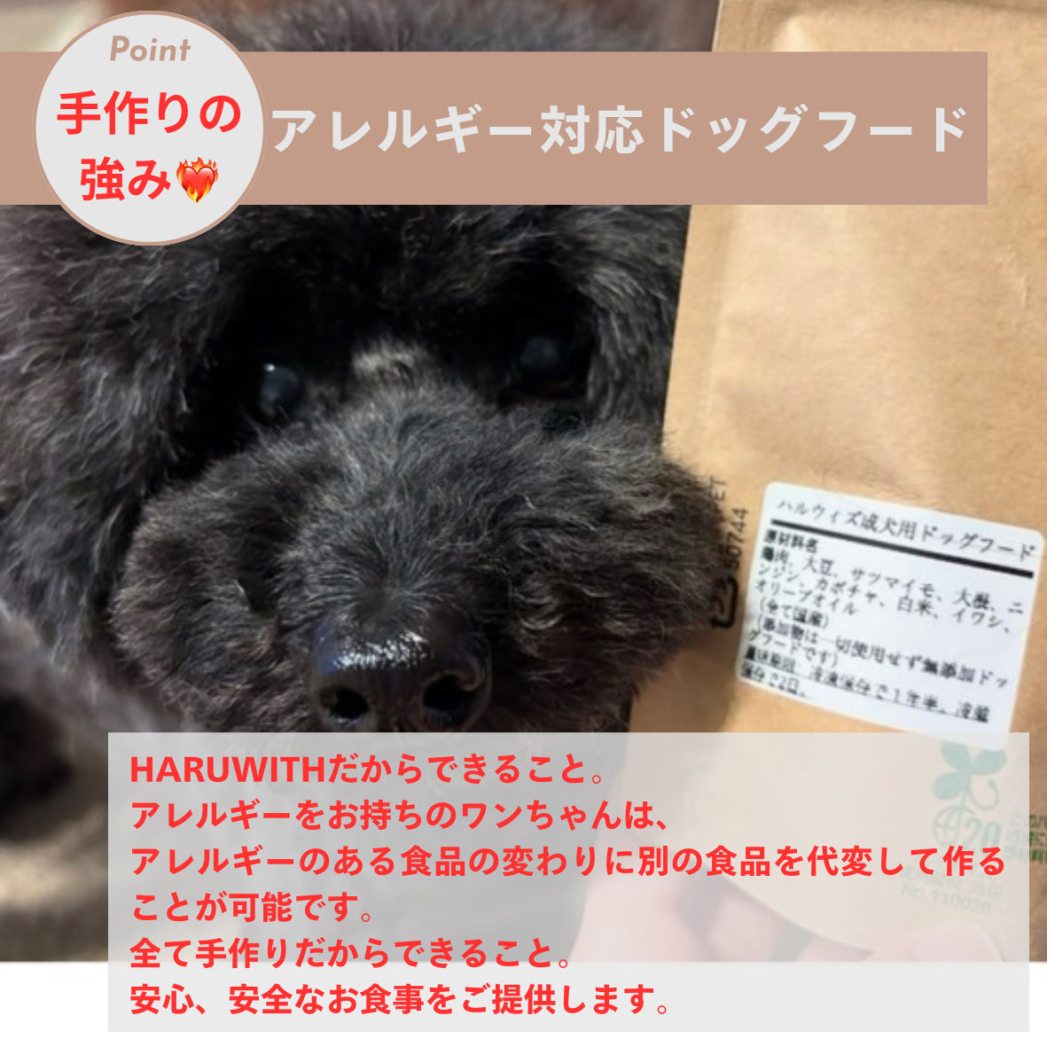 HARUWITH　for adult dog