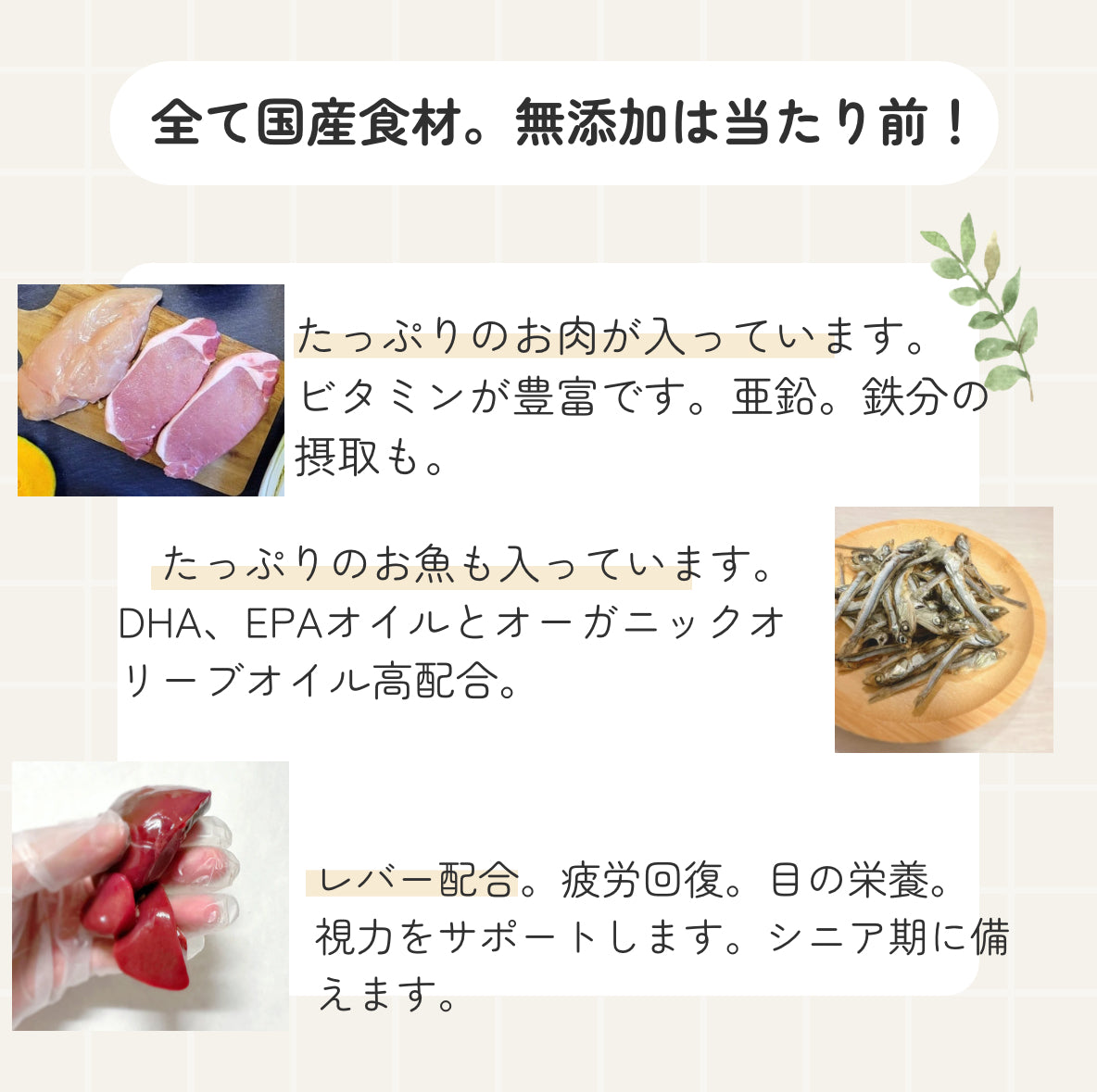 HARUWITH　for adult dog