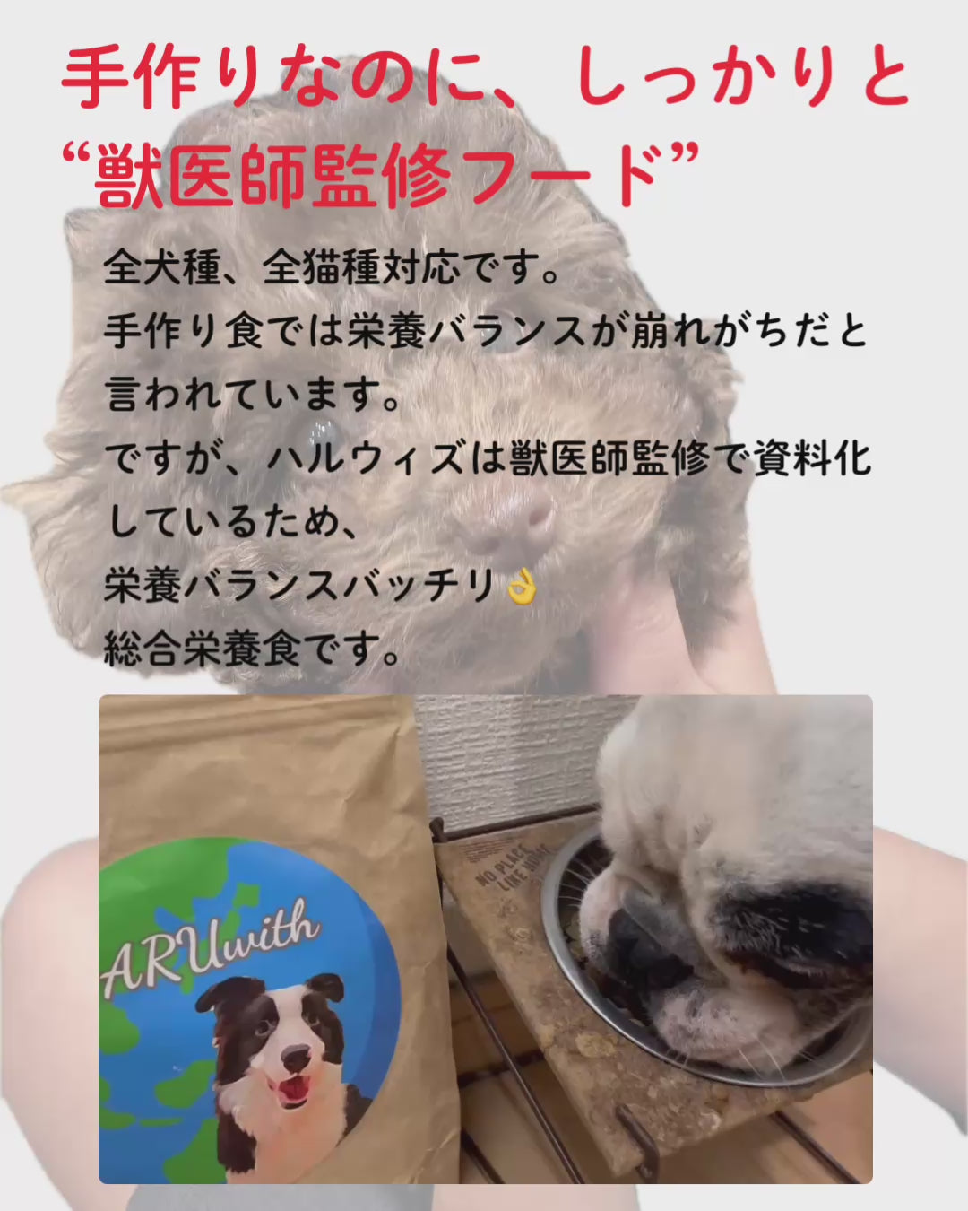 HARUWITH〖シニア〗
